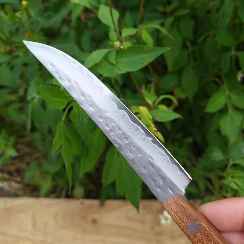 Home kitchen knife