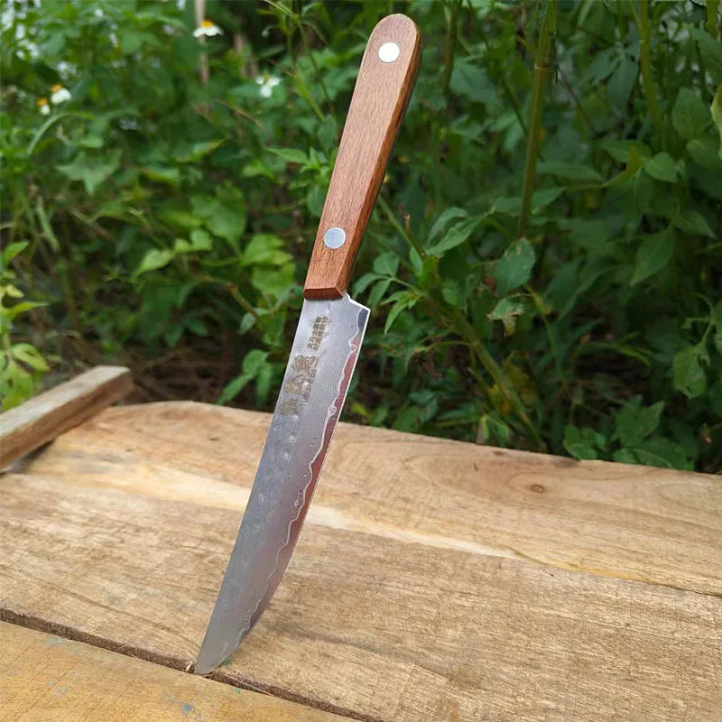 Home kitchen knife